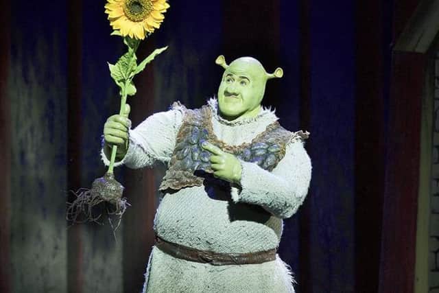 Stefan Harri in Shrek The Musical, coming to the Opera House
