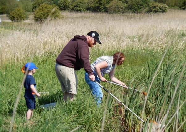 Pond dipping event at Marton Mere Nature Reserve