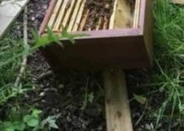 The beehive destroyed by vandals at Wyre Estuary Country Park