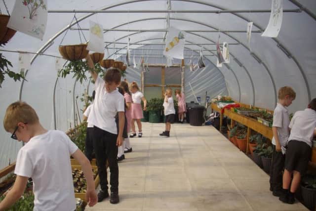 Pupils working in the polytunnel
