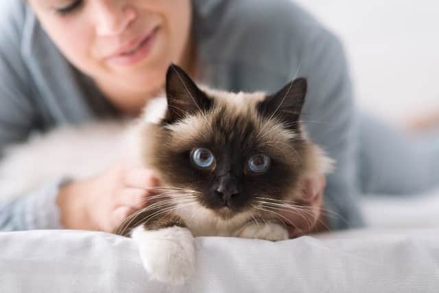 Cat behaviour is often misunderstood by us humans, which has sadly given them the reputation for being indifferent or aloof. 
(Shutterstock)