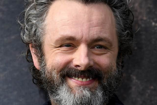 Michael Sheen (photo: Jon Kopaloff/Getty Images)